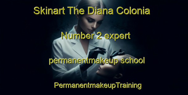 Skinart The Diana Colonia Number 2 expert permanentmakeup school | #PermanentmakeupTraining #PermanentmakeupClasses #SkinartTraining-United States