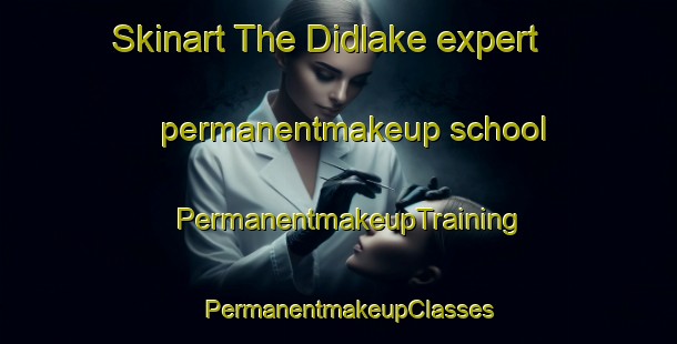 Skinart The Didlake expert permanentmakeup school | PermanentmakeupTraining | PermanentmakeupClasses | SkinartTraining-United States