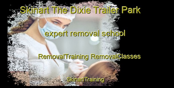 Skinart The Dixie Trailer Park expert removal school | #RemovalTraining #RemovalClasses #SkinartTraining-United States