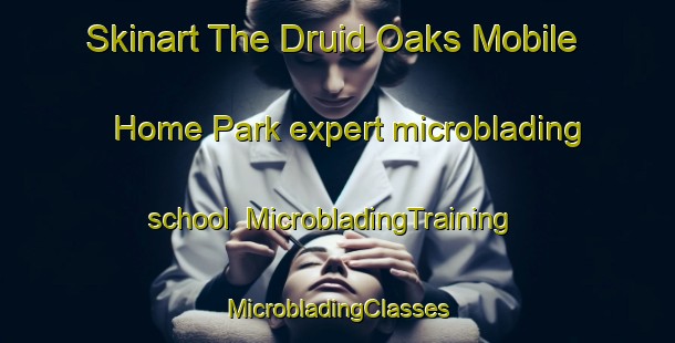 Skinart The Druid Oaks Mobile Home Park expert microblading school | #MicrobladingTraining #MicrobladingClasses #SkinartTraining-United States