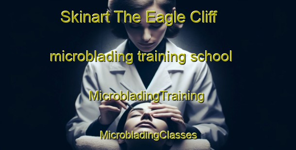 Skinart The Eagle Cliff microblading training school | #MicrobladingTraining #MicrobladingClasses #SkinartTraining-United States