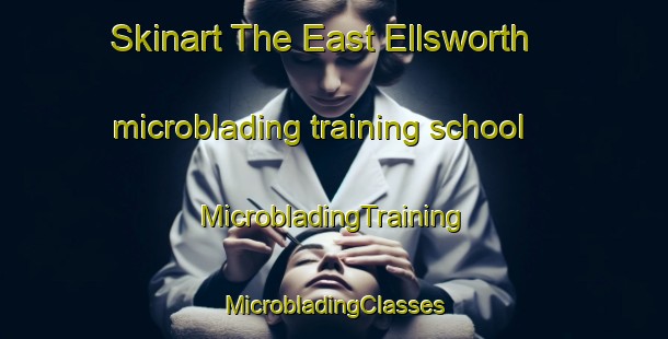 Skinart The East Ellsworth microblading training school | #MicrobladingTraining #MicrobladingClasses #SkinartTraining-United States