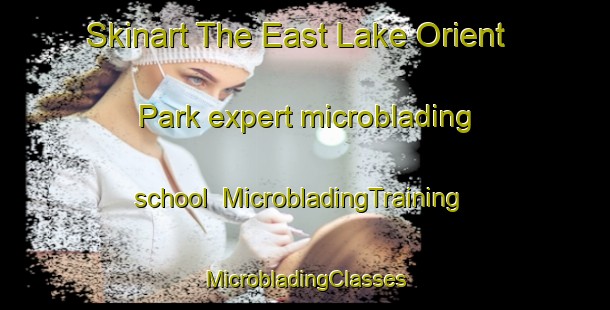 Skinart The East Lake Orient Park expert microblading school | #MicrobladingTraining #MicrobladingClasses #SkinartTraining-United States