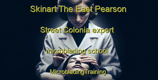 Skinart The East Pearson Street Colonia expert microblading school | #MicrobladingTraining #MicrobladingClasses #SkinartTraining-United States