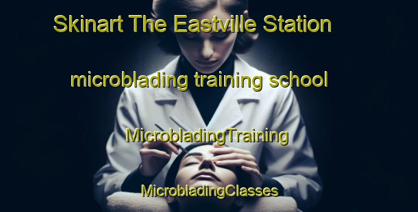 Skinart The Eastville Station microblading training school | #MicrobladingTraining #MicrobladingClasses #SkinartTraining-United States