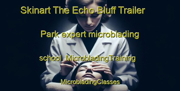 Skinart The Echo Bluff Trailer Park expert microblading school | #MicrobladingTraining #MicrobladingClasses #SkinartTraining-United States