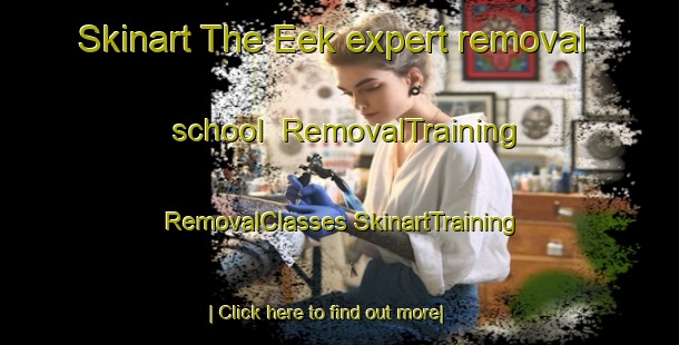 Skinart The Eek expert removal school | #RemovalTraining #RemovalClasses #SkinartTraining-United States