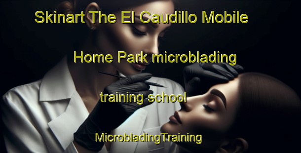 Skinart The El Caudillo Mobile Home Park microblading training school | #MicrobladingTraining #MicrobladingClasses #SkinartTraining-United States