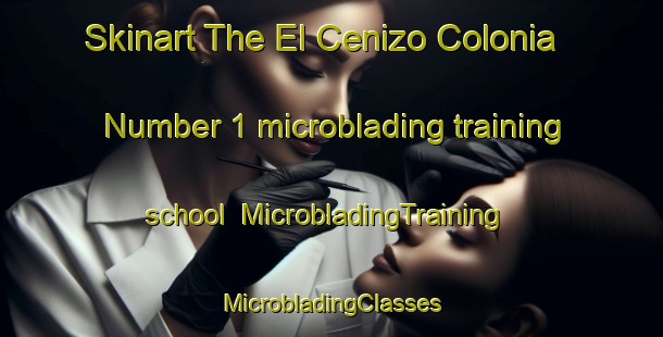 Skinart The El Cenizo Colonia Number 1 microblading training school | #MicrobladingTraining #MicrobladingClasses #SkinartTraining-United States