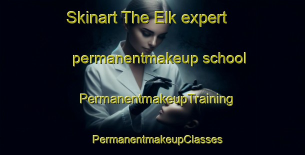 Skinart The Elk expert permanentmakeup school | PermanentmakeupTraining | PermanentmakeupClasses | SkinartTraining-United States