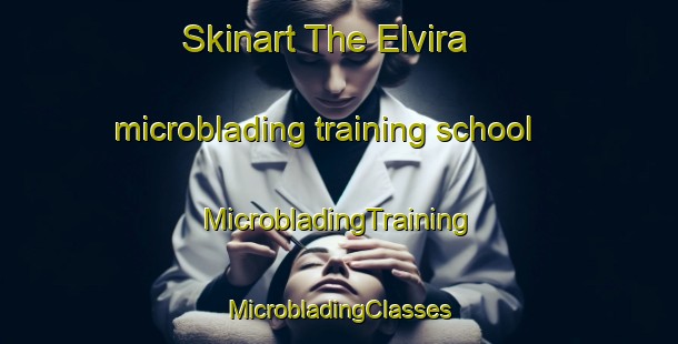 Skinart The Elvira microblading training school | #MicrobladingTraining #MicrobladingClasses #SkinartTraining-United States