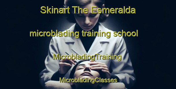 Skinart The Esmeralda microblading training school | #MicrobladingTraining #MicrobladingClasses #SkinartTraining-United States