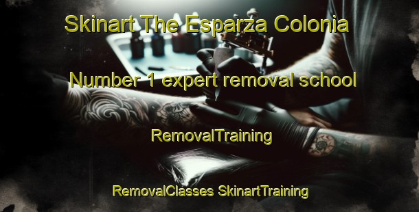 Skinart The Esparza Colonia Number 1 expert removal school | #RemovalTraining #RemovalClasses #SkinartTraining-United States