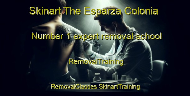 Skinart The Esparza Colonia Number 1 expert removal school | #RemovalTraining #RemovalClasses #SkinartTraining-United States