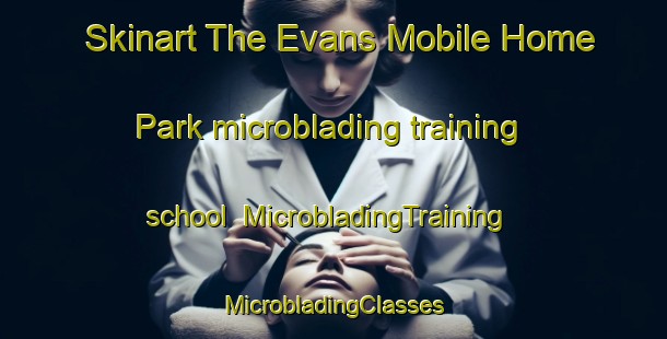 Skinart The Evans Mobile Home Park microblading training school | #MicrobladingTraining #MicrobladingClasses #SkinartTraining-United States