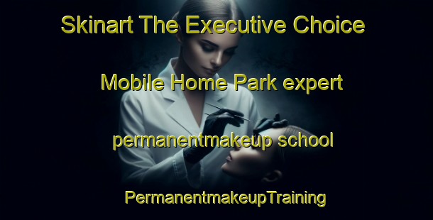 Skinart The Executive Choice Mobile Home Park expert permanentmakeup school | #PermanentmakeupTraining #PermanentmakeupClasses #SkinartTraining-United States