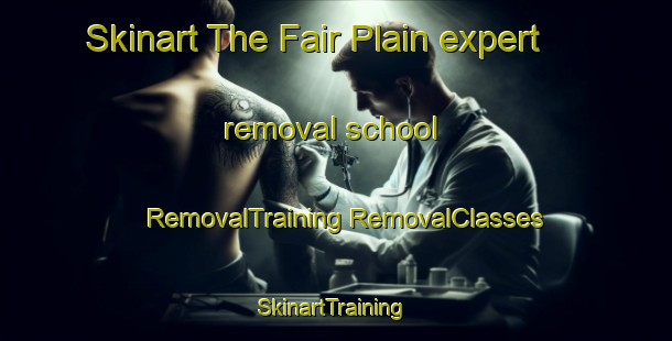 Skinart The Fair Plain expert removal school | #RemovalTraining #RemovalClasses #SkinartTraining-United States