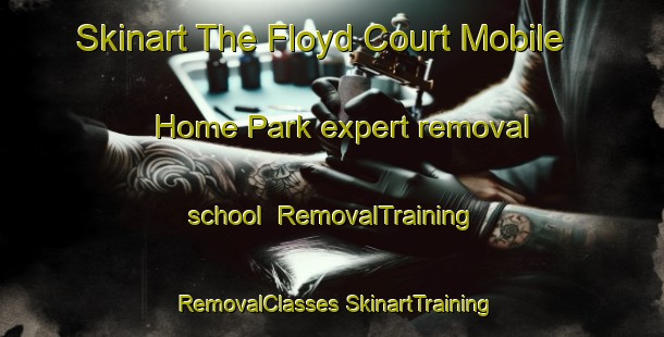 Skinart The Floyd Court Mobile Home Park expert removal school | #RemovalTraining #RemovalClasses #SkinartTraining-United States