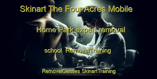 Skinart The Four Acres Mobile Home Park expert removal school | #RemovalTraining #RemovalClasses #SkinartTraining-United States