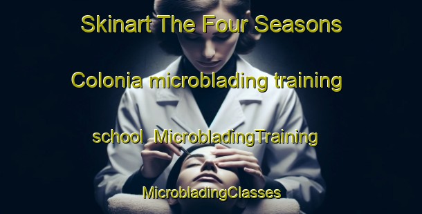 Skinart The Four Seasons Colonia microblading training school | #MicrobladingTraining #MicrobladingClasses #SkinartTraining-United States