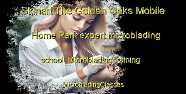 Skinart The Golden Oaks Mobile Home Park expert microblading school | #MicrobladingTraining #MicrobladingClasses #SkinartTraining-United States