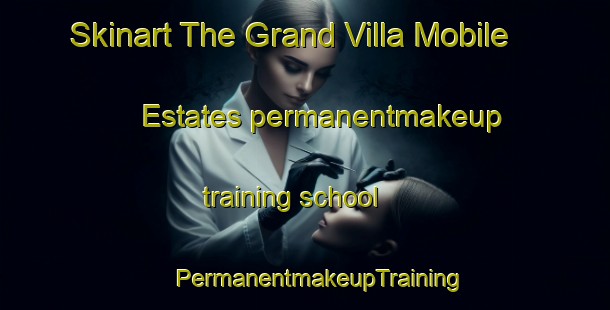 Skinart The Grand Villa Mobile Estates permanentmakeup training school | #PermanentmakeupTraining #PermanentmakeupClasses #SkinartTraining-United States