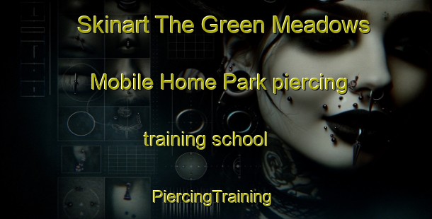 Skinart The Green Meadows Mobile Home Park piercing training school | #PiercingTraining #PiercingClasses #SkinartTraining-United States