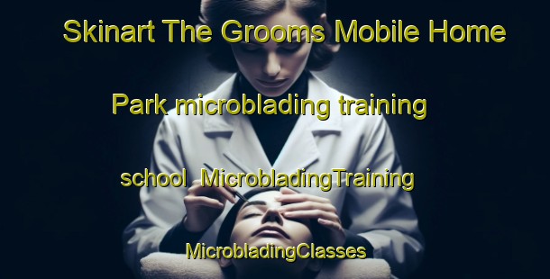 Skinart The Grooms Mobile Home Park microblading training school | #MicrobladingTraining #MicrobladingClasses #SkinartTraining-United States