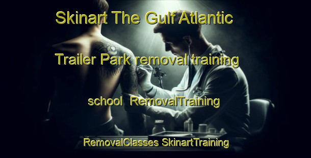 Skinart The Gulf Atlantic Trailer Park removal training school | #RemovalTraining #RemovalClasses #SkinartTraining-United States