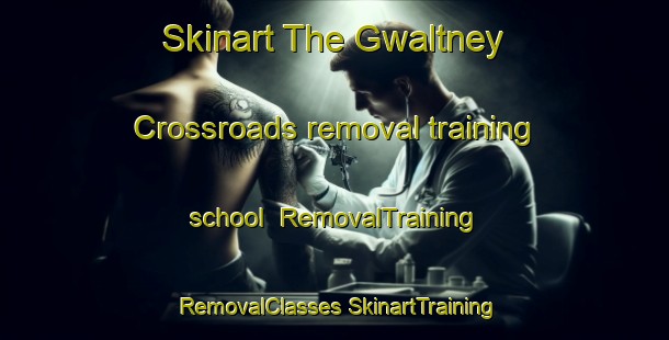 Skinart The Gwaltney Crossroads removal training school | #RemovalTraining #RemovalClasses #SkinartTraining-United States