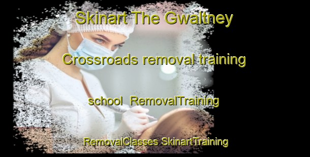 Skinart The Gwaltney Crossroads removal training school | #RemovalTraining #RemovalClasses #SkinartTraining-United States