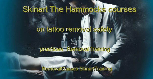 Skinart The Hammocks courses on tattoo removal safety practices | #RemovalTraining #RemovalClasses #SkinartTraining-United States