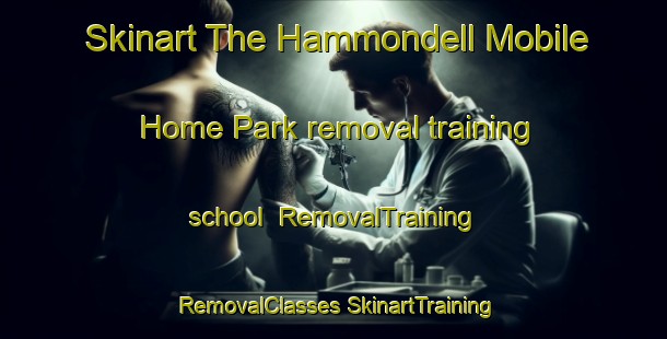 Skinart The Hammondell Mobile Home Park removal training school | #RemovalTraining #RemovalClasses #SkinartTraining-United States