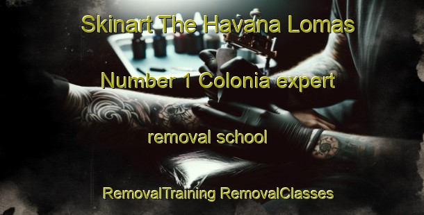 Skinart The Havana Lomas Number 1 Colonia expert removal school | #RemovalTraining #RemovalClasses #SkinartTraining-United States