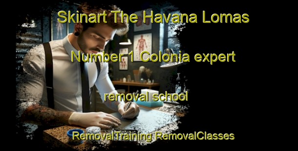 Skinart The Havana Lomas Number 1 Colonia expert removal school | #RemovalTraining #RemovalClasses #SkinartTraining-United States