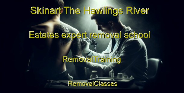 Skinart The Hawlings River Estates expert removal school | RemovalTraining | RemovalClasses | SkinartTraining-United States