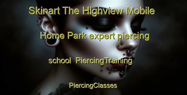 Skinart The Highview Mobile Home Park expert piercing school | #PiercingTraining #PiercingClasses #SkinartTraining-United States