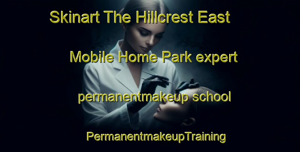 Skinart The Hillcrest East Mobile Home Park expert permanentmakeup school | #PermanentmakeupTraining #PermanentmakeupClasses #SkinartTraining-United States