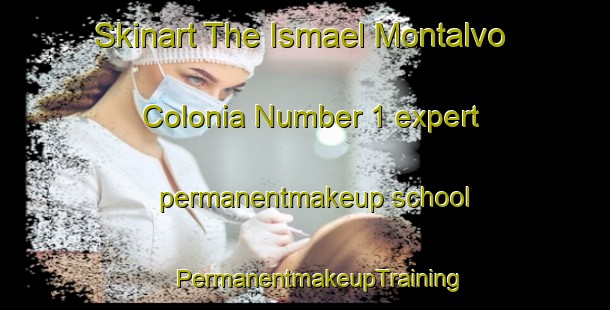 Skinart The Ismael Montalvo Colonia Number 1 expert permanentmakeup school | #PermanentmakeupTraining #PermanentmakeupClasses #SkinartTraining-United States