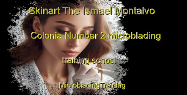 Skinart The Ismael Montalvo Colonia Number 2 microblading training school | #MicrobladingTraining #MicrobladingClasses #SkinartTraining-United States