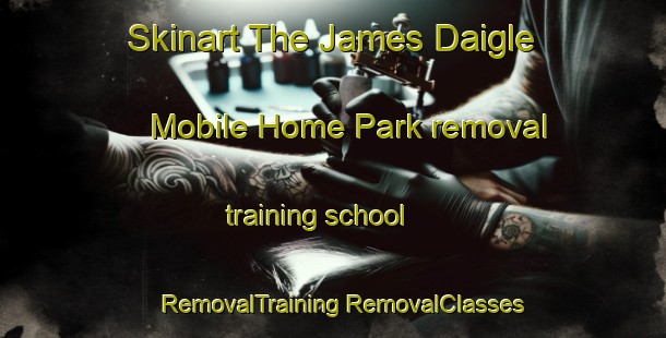 Skinart The James Daigle Mobile Home Park removal training school | #RemovalTraining #RemovalClasses #SkinartTraining-United States