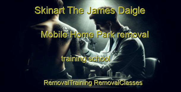 Skinart The James Daigle Mobile Home Park removal training school | #RemovalTraining #RemovalClasses #SkinartTraining-United States