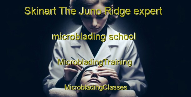 Skinart The Juno Ridge expert microblading school | #MicrobladingTraining #MicrobladingClasses #SkinartTraining-United States