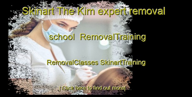 Skinart The Kim expert removal school | #RemovalTraining #RemovalClasses #SkinartTraining-United States