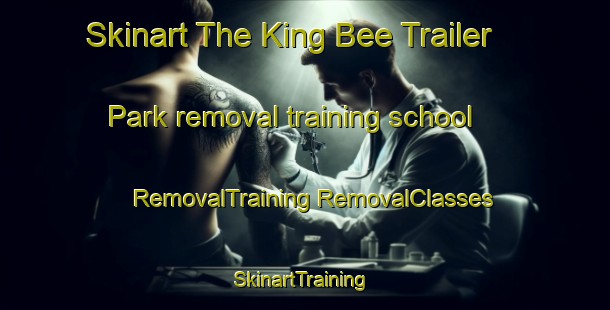 Skinart The King Bee Trailer Park removal training school | #RemovalTraining #RemovalClasses #SkinartTraining-United States