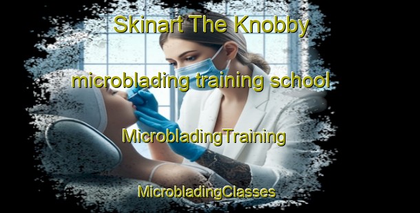 Skinart The Knobby microblading training school | MicrobladingTraining | MicrobladingClasses | SkinartTraining-United States