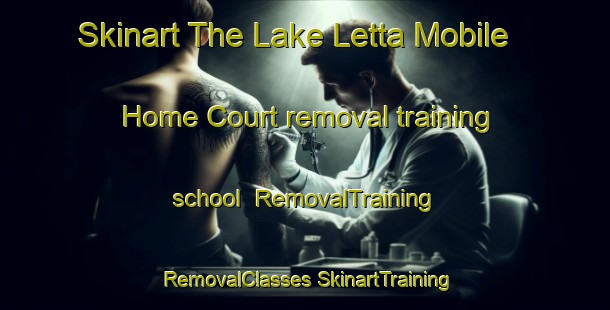 Skinart The Lake Letta Mobile Home Court removal training school | #RemovalTraining #RemovalClasses #SkinartTraining-United States