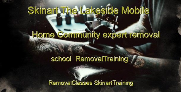 Skinart The Lakeside Mobile Home Community expert removal school | #RemovalTraining #RemovalClasses #SkinartTraining-United States