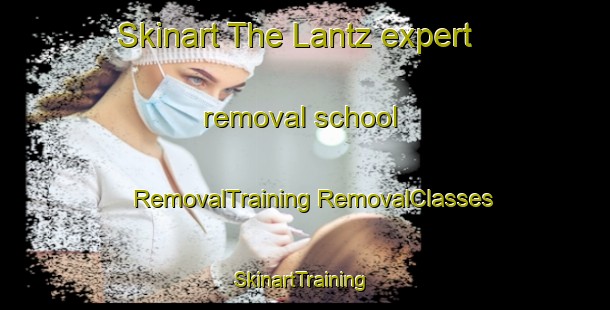 Skinart The Lantz expert removal school | #RemovalTraining #RemovalClasses #SkinartTraining-United States