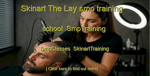Skinart The Lay smp training school | SmpTraining | SmpClasses | SkinartTraining-United States